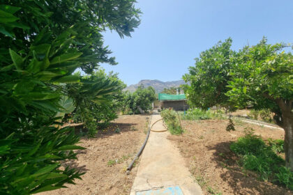 b3bb9b438f14550072d01df4c67ee5c9 - 20