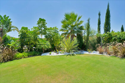 b7511ffc707fc6631026e5c1f7f999b4 - 81