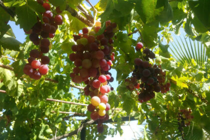 bdab3b83bf9fe14a07a8ce7aeda6d2b4 - 14