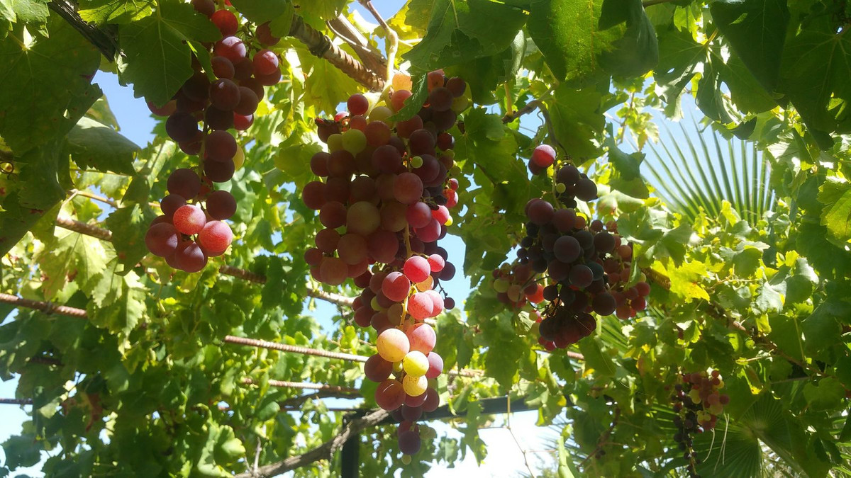 bdab3b83bf9fe14a07a8ce7aeda6d2b4 - 14