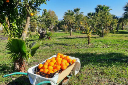 bdab3b83bf9fe14a07a8ce7aeda6d2b4 - 26