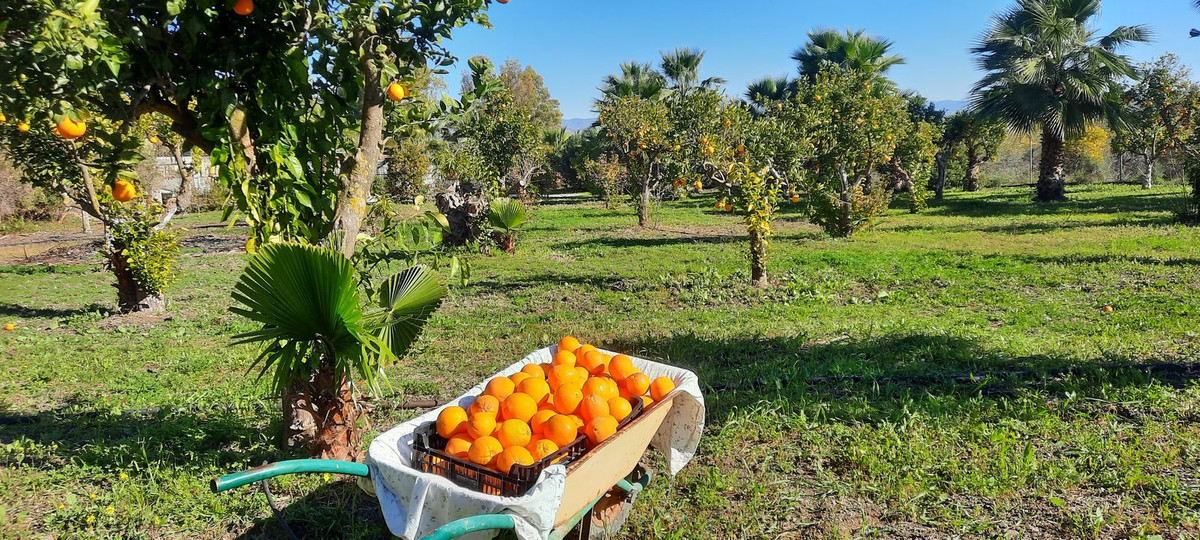 bdab3b83bf9fe14a07a8ce7aeda6d2b4 - 26