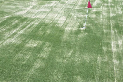 bdab3b83bf9fe14a07a8ce7aeda6d2b4 - 36