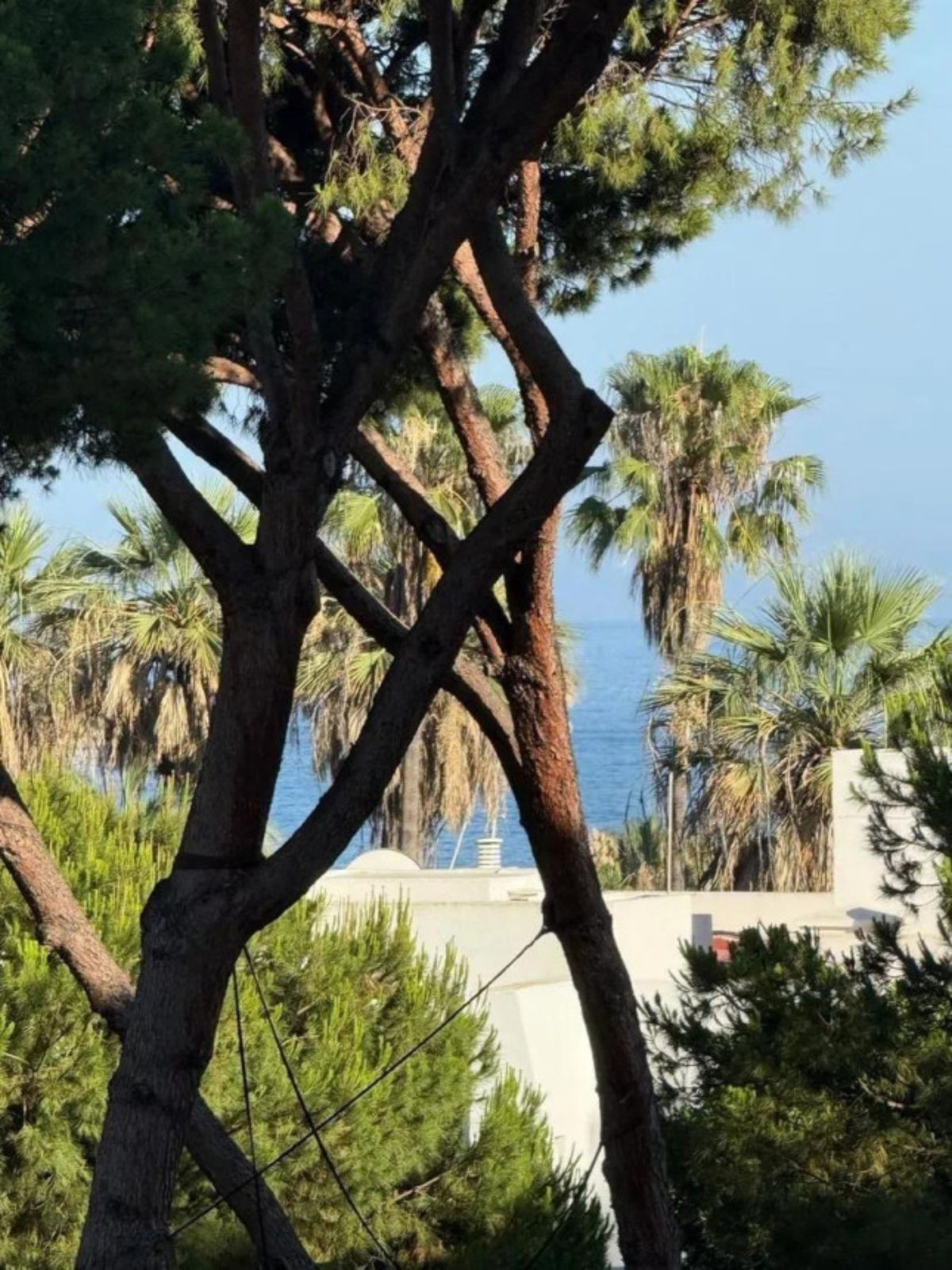 c415da3206367370685019eeee9ffb07 - 18