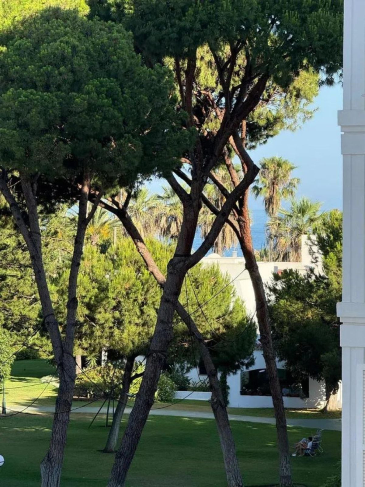 c415da3206367370685019eeee9ffb07 - 26