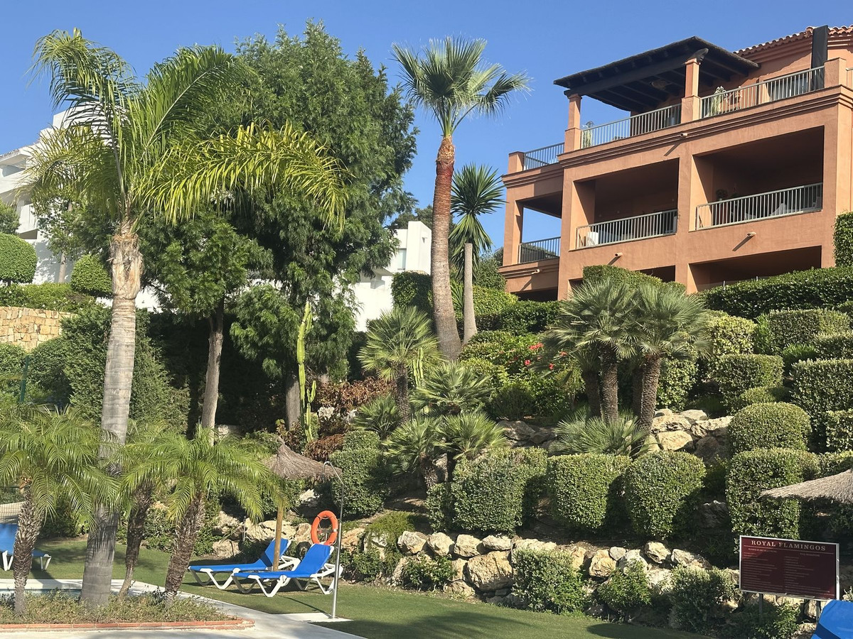 ce324a232877b2e9ac75eef67738325b - 4