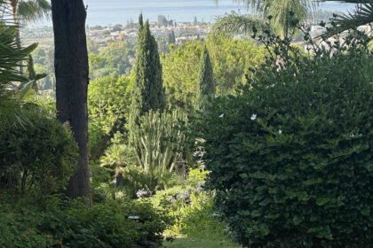 ce324a232877b2e9ac75eef67738325b - 5