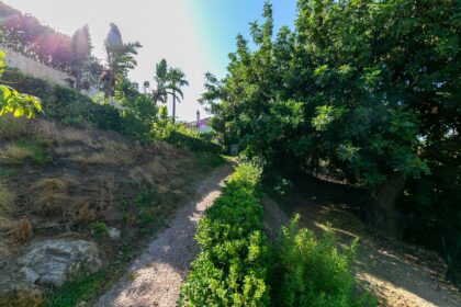 jardin