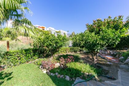 jardin
