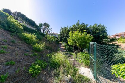 jardin