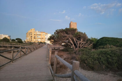 d77e8fcdc2ef0b3833f88a442d3ea262 - 12