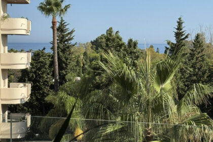 dad2252f816e4033aa428a1875ae8882 - 24