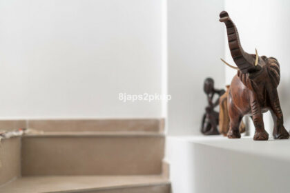 dc82962c415718850bd601f777d5491e - 4