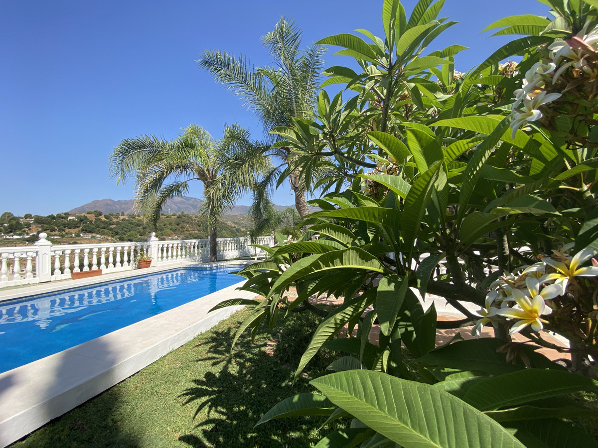 e8f367217b2a34b4e4be6e5bfc5de76a - 21