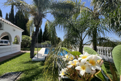 e8f367217b2a34b4e4be6e5bfc5de76a - 25