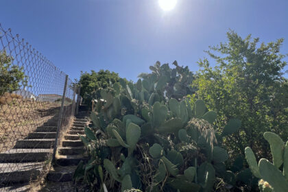 e8f367217b2a34b4e4be6e5bfc5de76a - 26