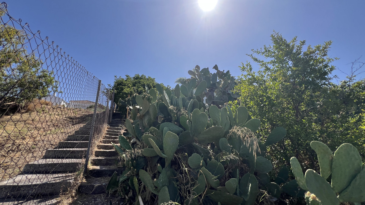 e8f367217b2a34b4e4be6e5bfc5de76a - 26