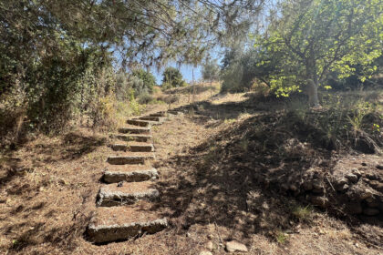 e8f367217b2a34b4e4be6e5bfc5de76a - 27