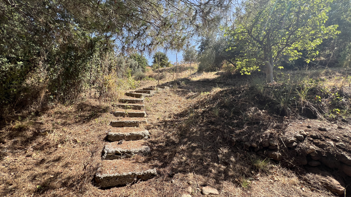 e8f367217b2a34b4e4be6e5bfc5de76a - 27