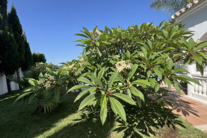 e8f367217b2a34b4e4be6e5bfc5de76a - 29