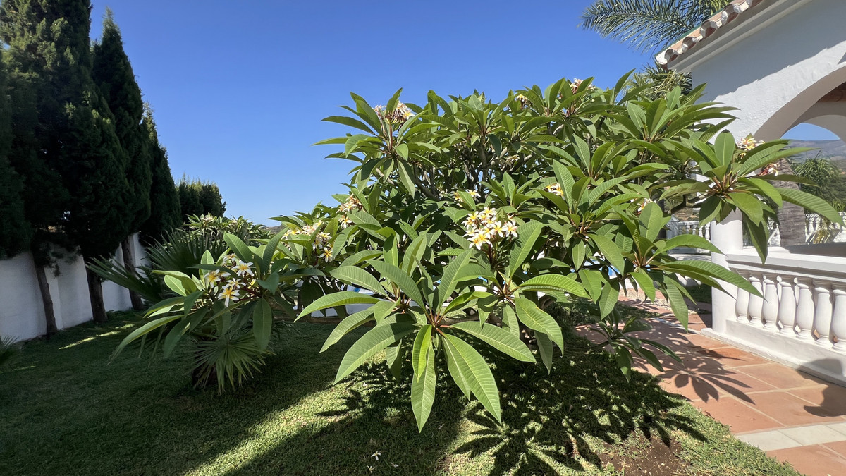 e8f367217b2a34b4e4be6e5bfc5de76a - 29