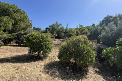 e8f367217b2a34b4e4be6e5bfc5de76a - 30