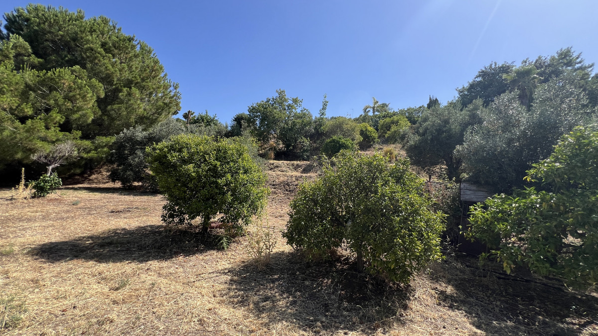 e8f367217b2a34b4e4be6e5bfc5de76a - 30