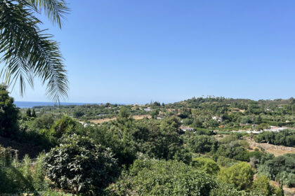 e8f367217b2a34b4e4be6e5bfc5de76a - 4