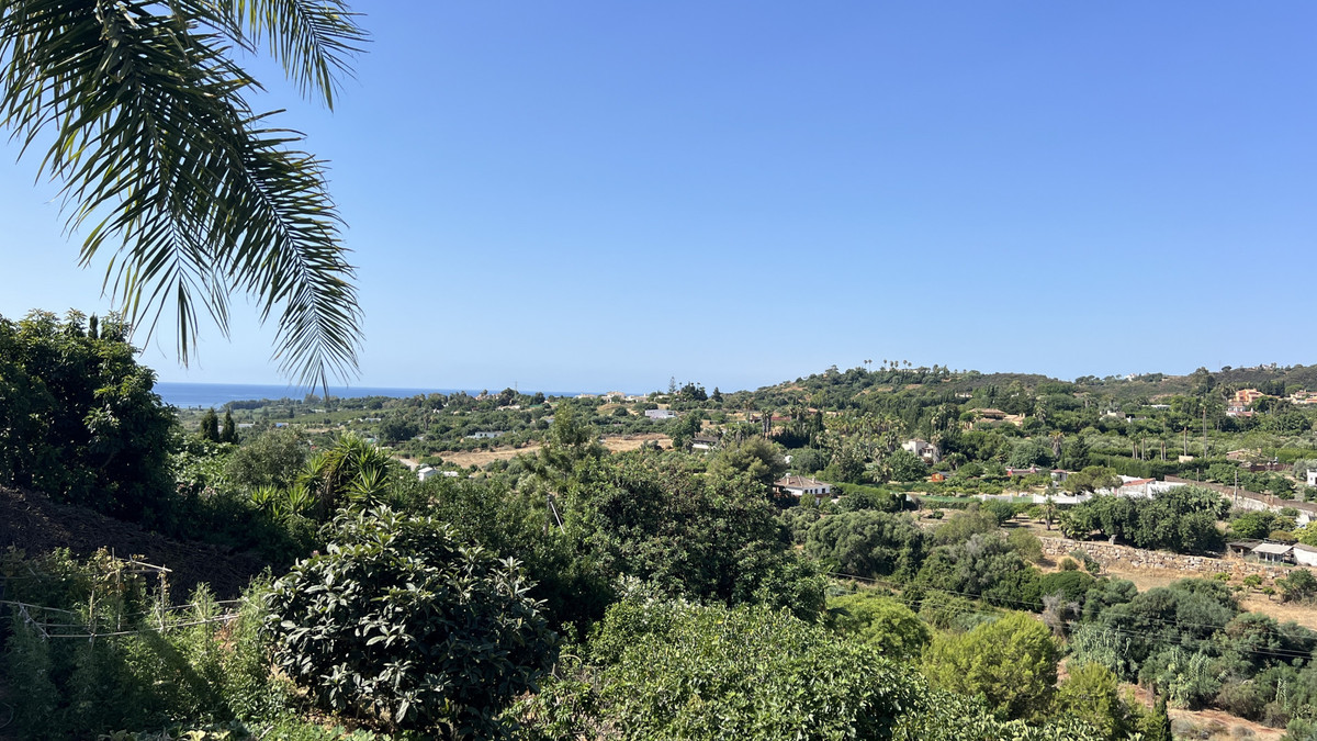 e8f367217b2a34b4e4be6e5bfc5de76a - 4