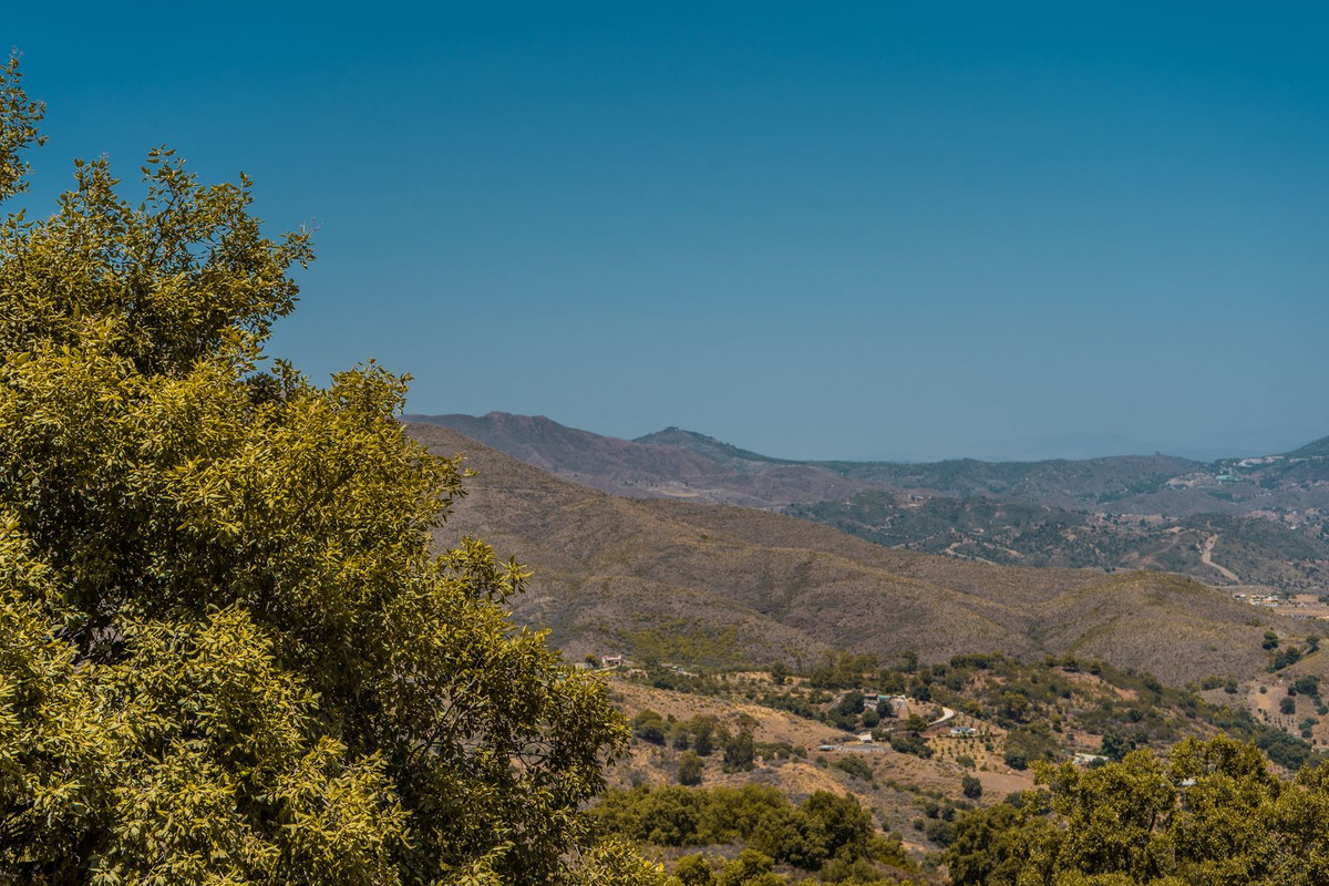 f3b6bb735fdb8911f020cf214b3640b3 - 29