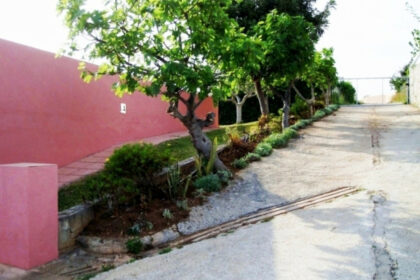 02497db16900e8b350e7fcecdec39506 - 12