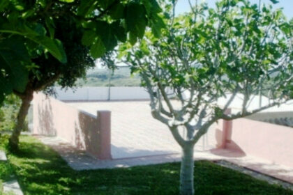 02497db16900e8b350e7fcecdec39506 - 14