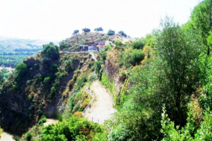 02497db16900e8b350e7fcecdec39506 - 23