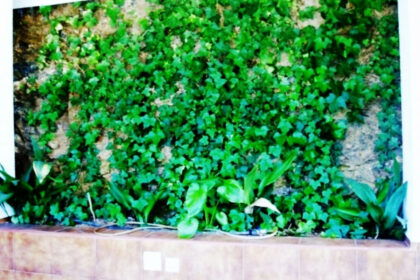 02497db16900e8b350e7fcecdec39506 - 27