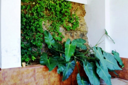 02497db16900e8b350e7fcecdec39506 - 28