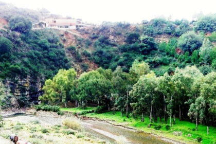 02497db16900e8b350e7fcecdec39506 - 29