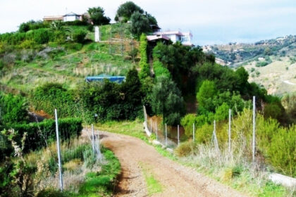 02497db16900e8b350e7fcecdec39506 - 31