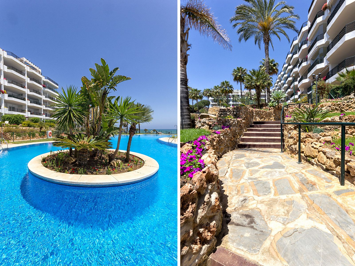 071c5b68dc05c8dc8ca5dc9a5e69aad3 - 20