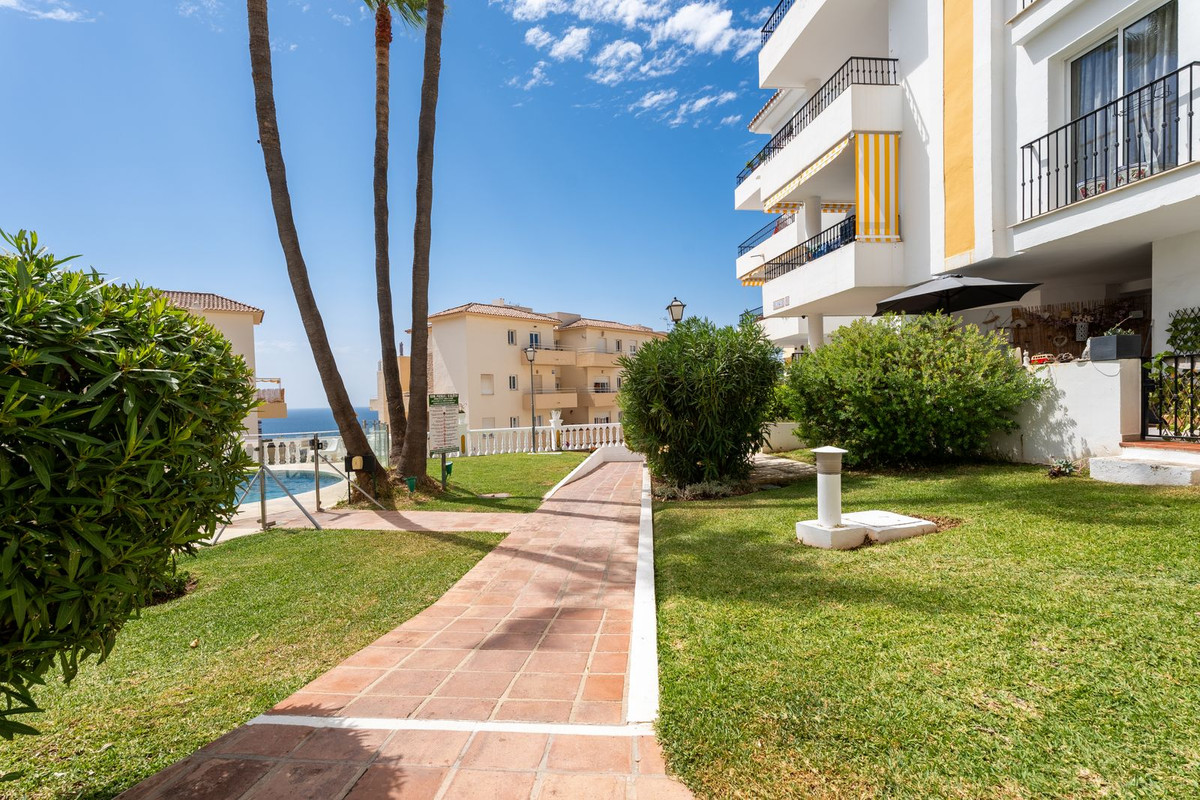 0b39219c093dfab228aaaa2f866c313f - 29