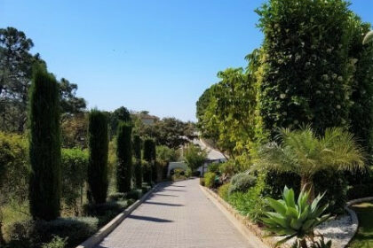 0b6e03a390fa61944633b29813b294ef - 29