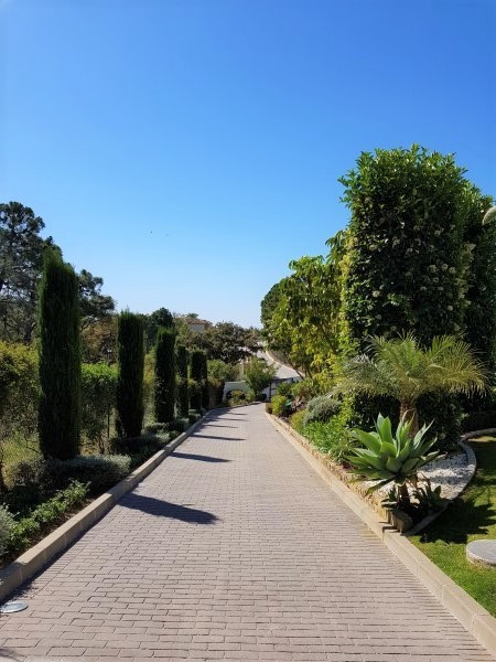 0b6e03a390fa61944633b29813b294ef - 29