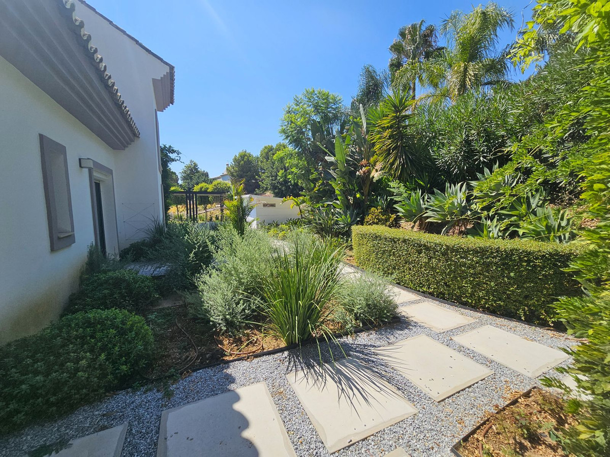 0b6e03a390fa61944633b29813b294ef - 31