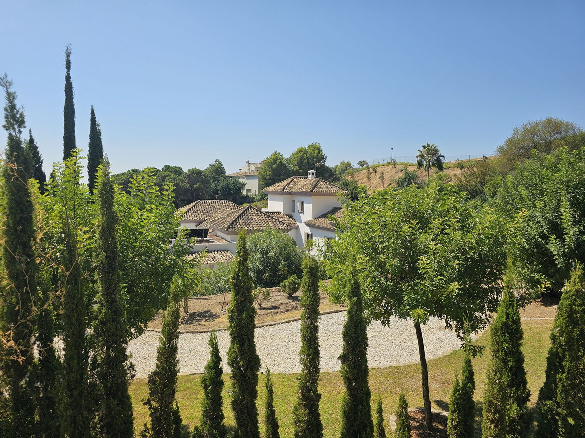 0b6e03a390fa61944633b29813b294ef - 34