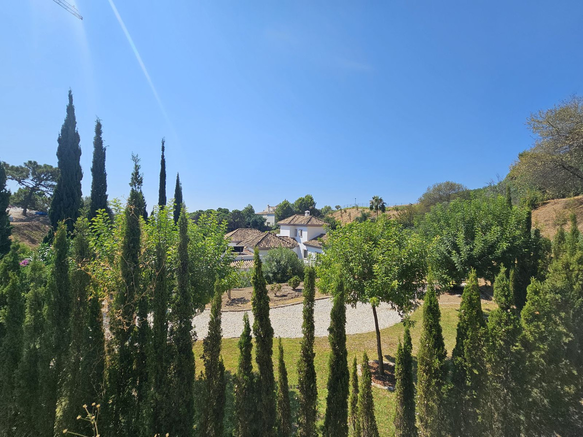 0b6e03a390fa61944633b29813b294ef - 35