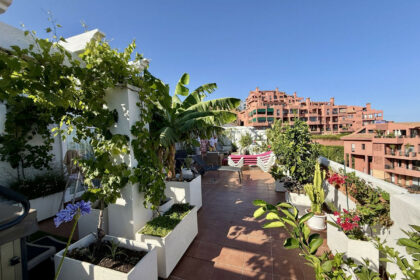 10bdce7360d653e61f6f255c1d71eb5d - 29