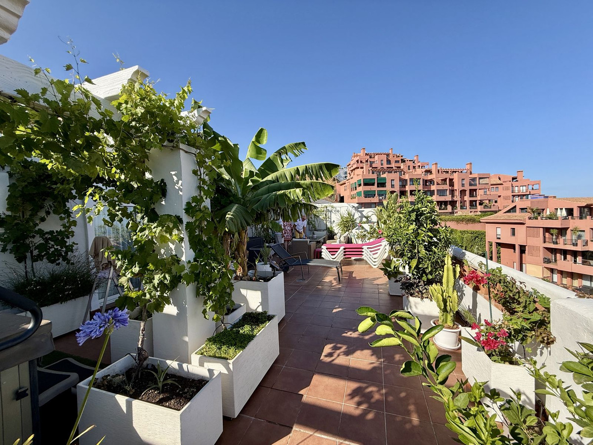 10bdce7360d653e61f6f255c1d71eb5d - 29