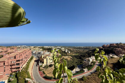 10bdce7360d653e61f6f255c1d71eb5d - 35