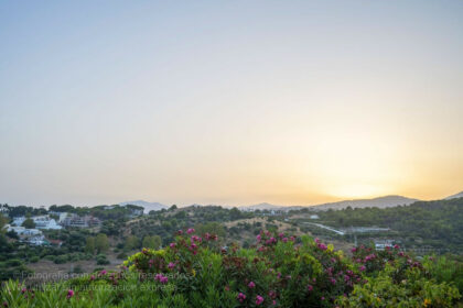 138a45af14db157a311287e05824250f - 41