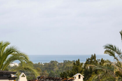 138a45af14db157a311287e05824250f - 42