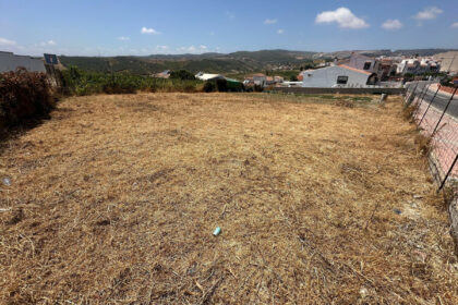 13cc43a84dcb414ce62a7a0af33fcd83 - 2